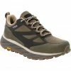 Jack Wolfskin Terraventure Texapore Low Shoes Men brown/beige