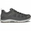 Lowa Innox Evo GTX Low Shoes Men anthracite/bronce