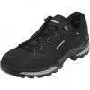 Lowa Renegade GTX Low Shoes Men black/graphite